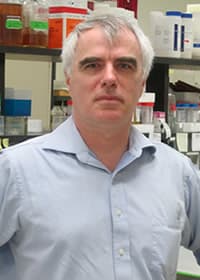 David McKinnon's profile picture